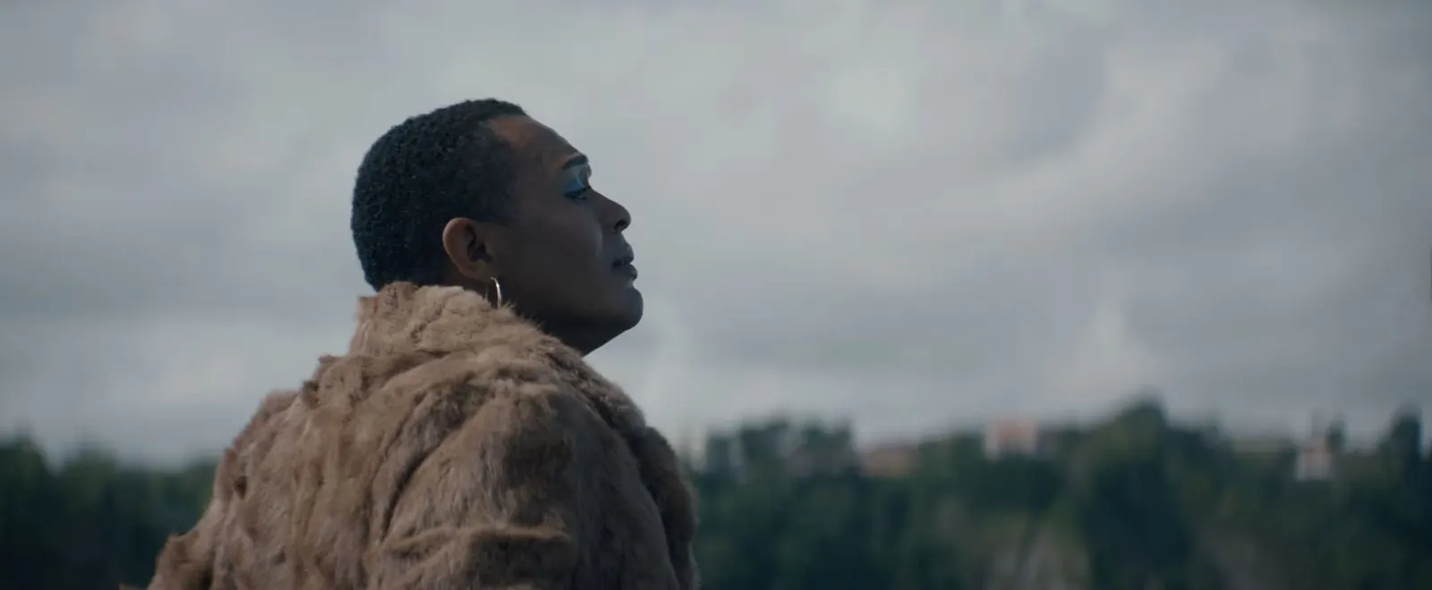 Never Never Never: a man in a shaggy coat looks up at an overcast sky above a Welsh hillside